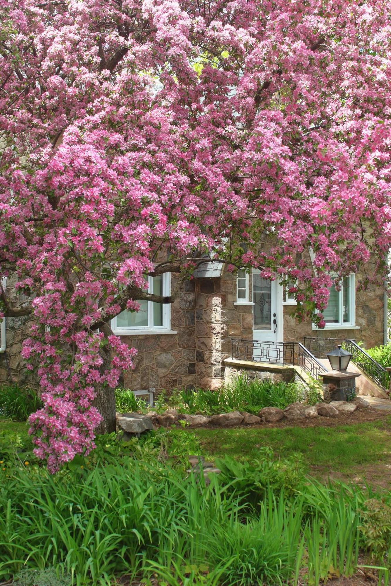 Rester Vivant Chambres D'Hotes Saint-Jean-Port-Joli Dış mekan fotoğraf